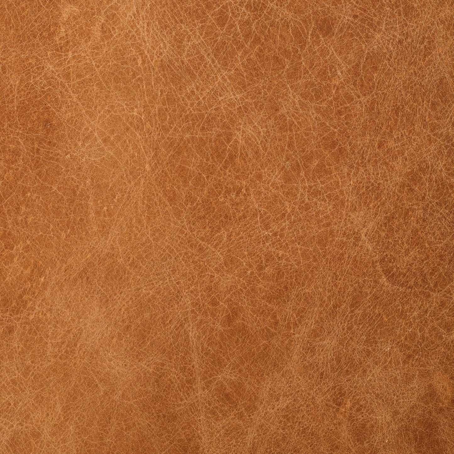Poly & Bark Napa 88.5 Sofa - Genuine Italian Leather