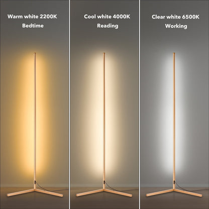55 RGB Metal Corner Lamp Minimalist LED Floor Lamp