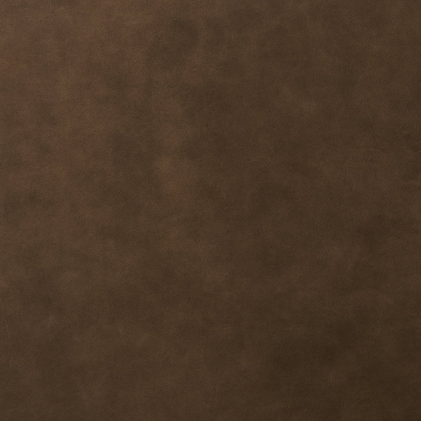 Poly & Bark Napa 88.5 Sofa - Genuine Italian Leather