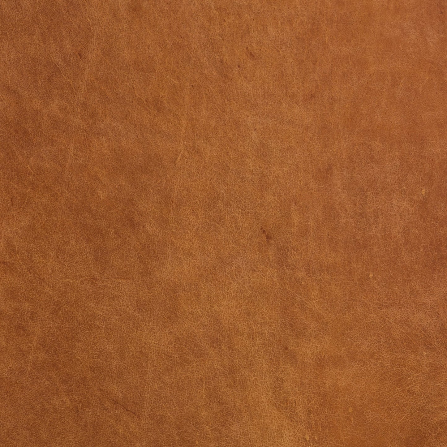 Poly & Bark Essex 89 Sofa - Full Grain Genuine Italian Leather