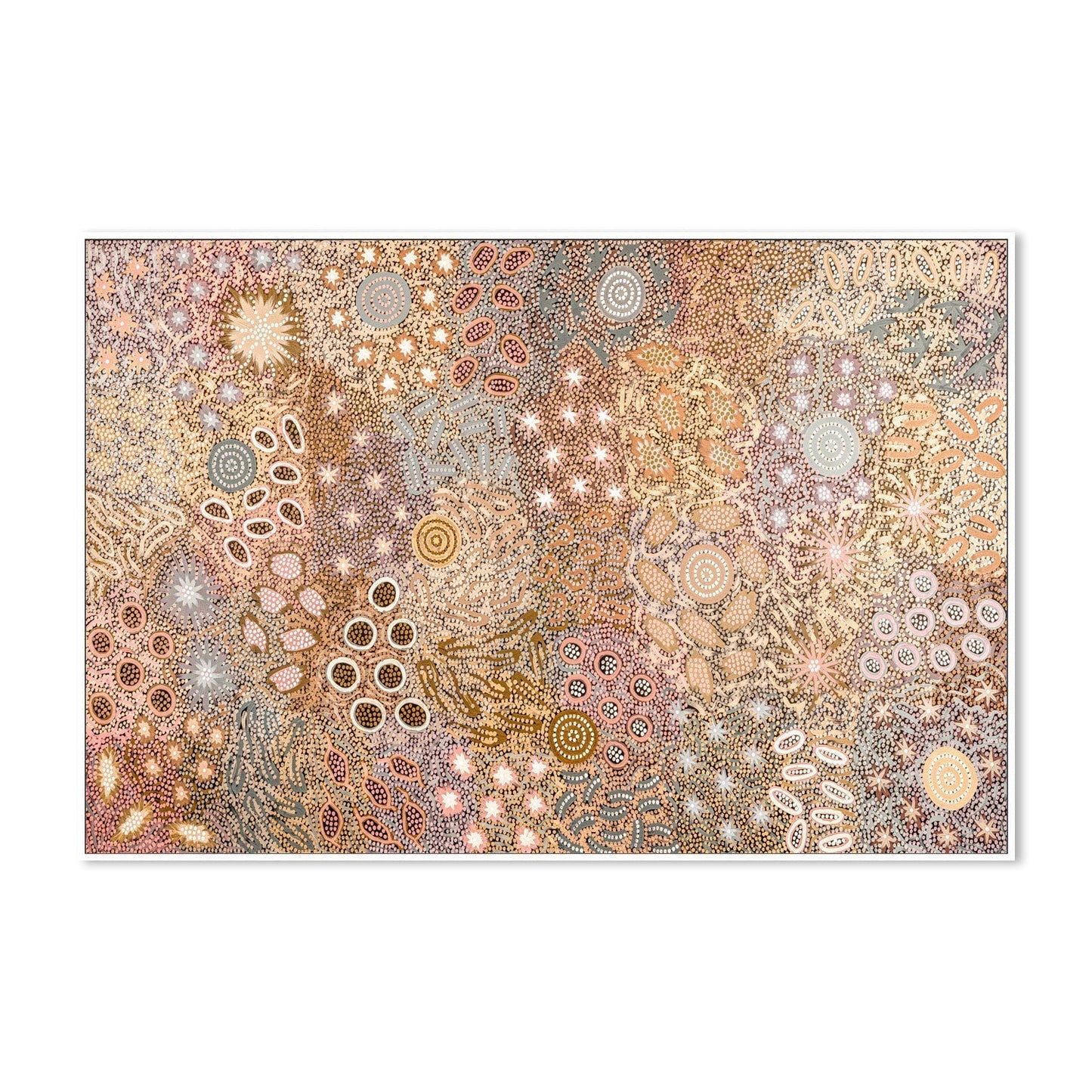 Body Painting Ceremony, Peachy Tones, By Michelle Possum Nungurrayi